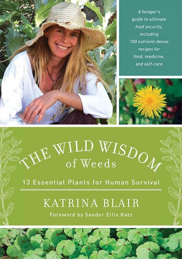 Book Cover The Wild Wisdom of Weeds